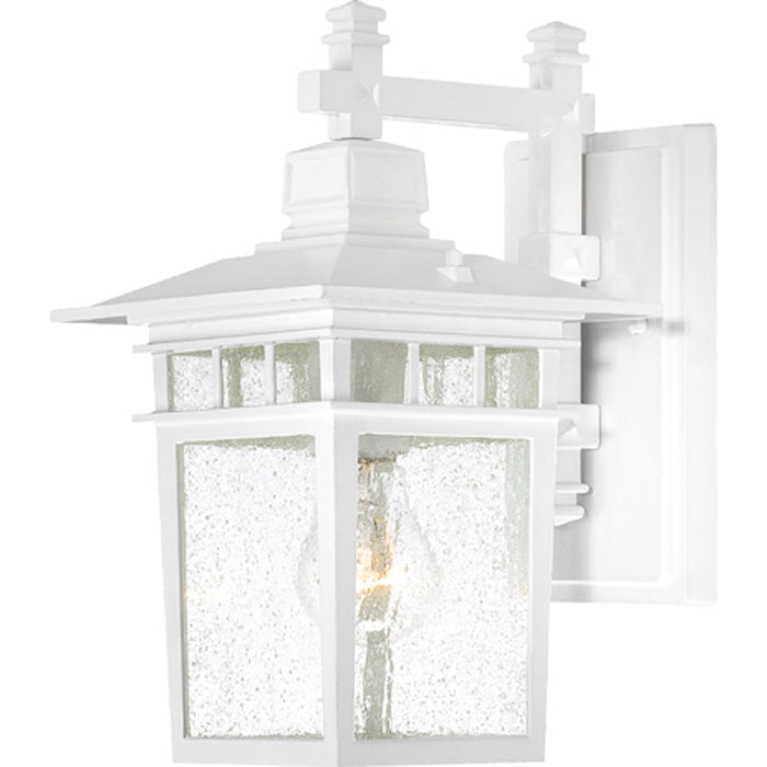 Cove Neck 1-Light Outdoor Wall in White