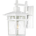 Cove Neck 1-Light Outdoor Wall in White