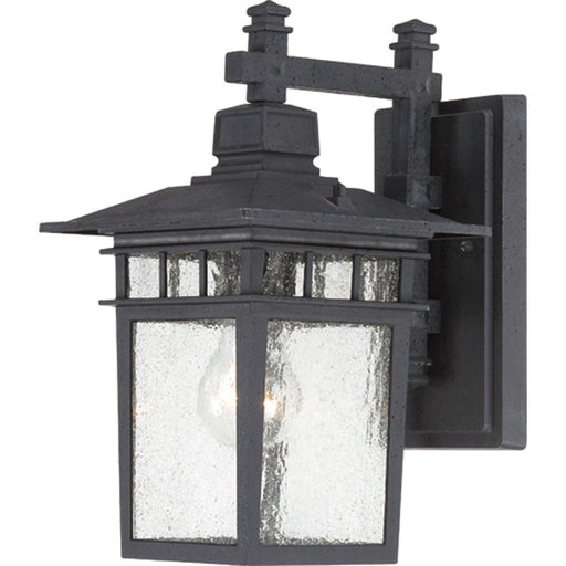 Cove Neck 1-Light Outdoor Wall in Textured Black