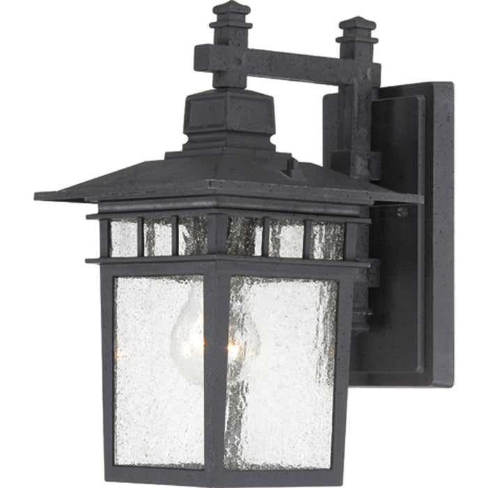 Cove Neck 1-Light Outdoor Wall in Textured Black