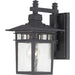 Cove Neck 1-Light Outdoor Wall in Textured Black