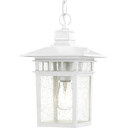 Cove Neck Outdoor Lantern Pendant in White