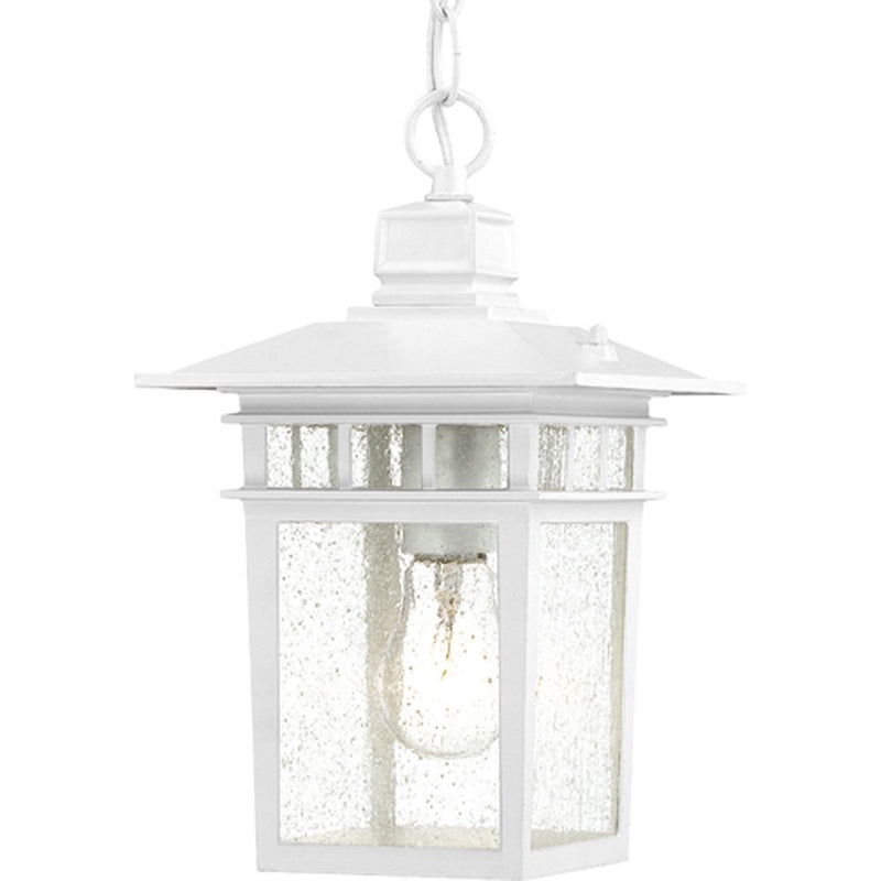 Cove Neck Outdoor Lantern Pendant in White