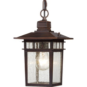 Cove Neck Outdoor Lantern Pendant in Rustic Bronze