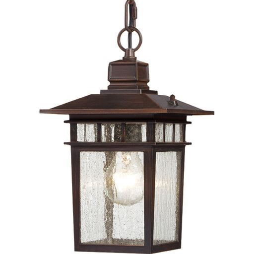 Cove Neck 1-Light Outdoor Hang in Rustic Bronze