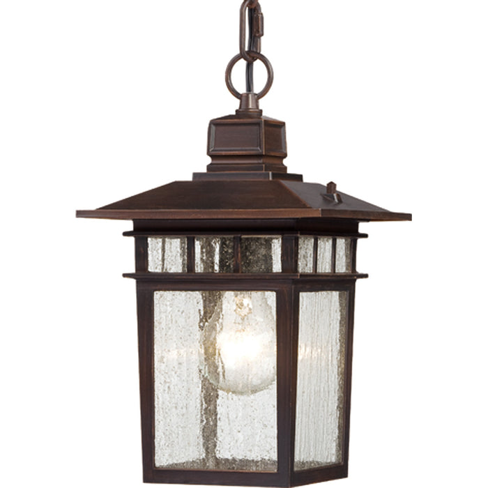 Cove Neck 1-Light Outdoor Hang in Rustic Bronze