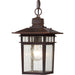 Cove Neck 1-Light Outdoor Hang in Rustic Bronze