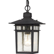 Cove Neck Outdoor Lantern Pendant in Textured Black