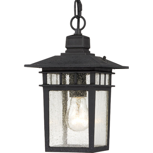 Cove Neck 1-Light Outdoor Hang in Textured Black