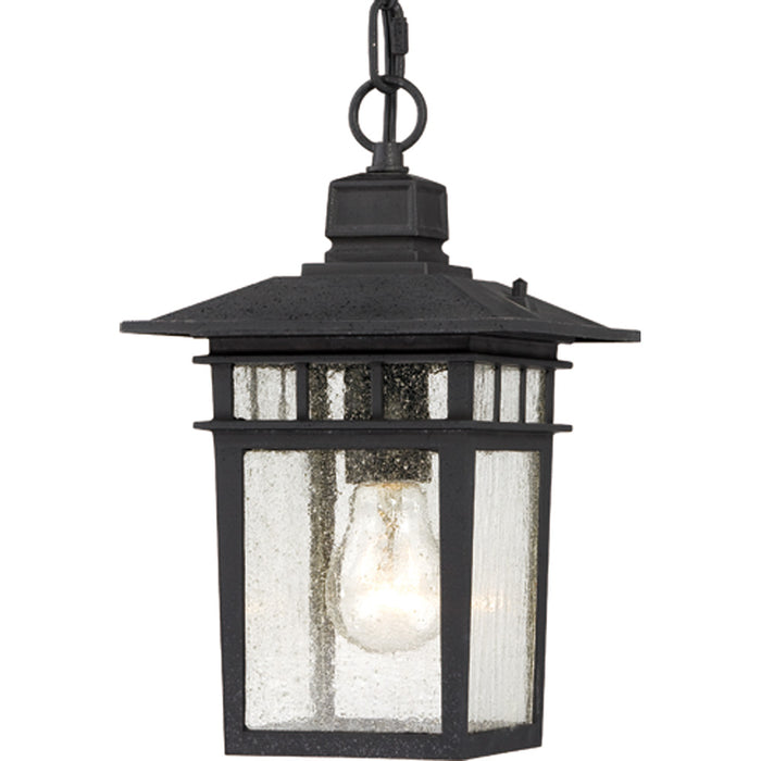 Cove Neck 1-Light Outdoor Hang in Textured Black