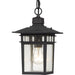 Cove Neck 1-Light Outdoor Hang in Textured Black
