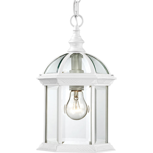 Boxwood 1-Light Outdoor Hanging in White