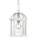 Boxwood 1-Light Outdoor Hanging in White