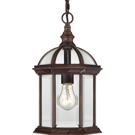 Boxwood 1-Light Outdoor Hanging in Rustic Bronze