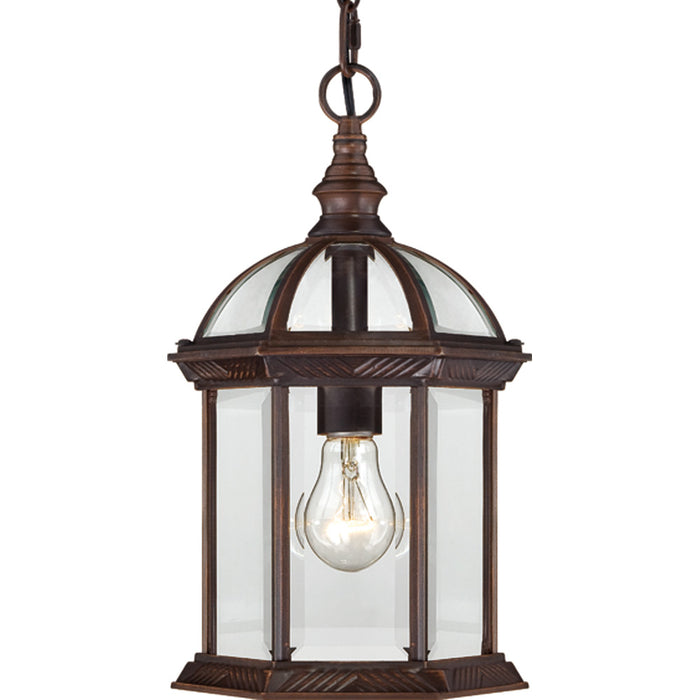 Boxwood 1-Light Outdoor Hanging in Rustic Bronze