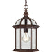 Boxwood 1-Light Outdoor Hanging in Rustic Bronze