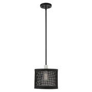 Industro 10" Pendant in Black with Brushed Nickel Accents
