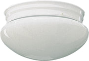 Ceiling Mount in White