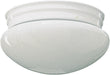 Ceiling Mount in White