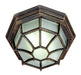Benkert 1-Light Flushmount Lantern in Rust with Frosted Glass
