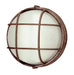 Aria 1-Light Bulkhead in Rust with Ribbed Frosted Glass