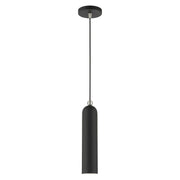 Ardmore Pendant in Black with Brushed Nickel Accents