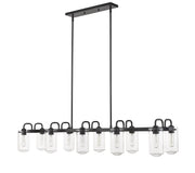 Delaney 10 Light 56" Linear Pendant in Matte Black