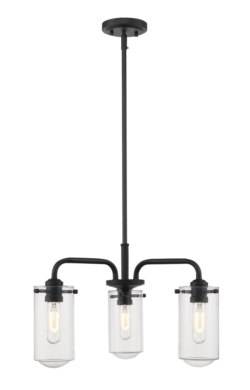 Delaney 3 Light 20" Chandelier in Matte Black