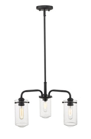 Delaney 3 Light 20" Chandelier in Matte Black