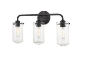 Delaney 3 Light 22" Vanity in Matte Black