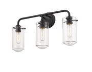 Delaney 3 Light 22" Vanity in Matte Black