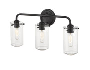 Delaney 3 Light 22" Vanity in Matte Black