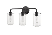 Delaney 3 Light 22" Vanity in Matte Black