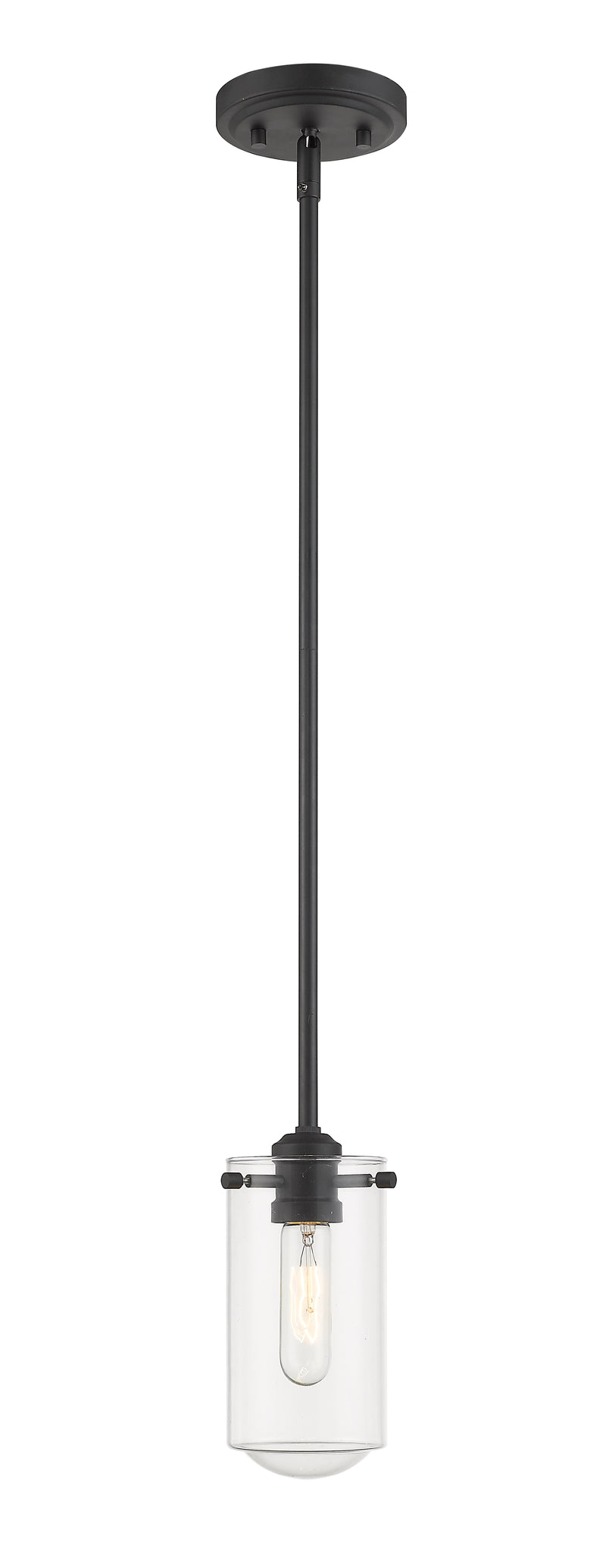 Delaney 1 Light 4" Pendant in Matte Black