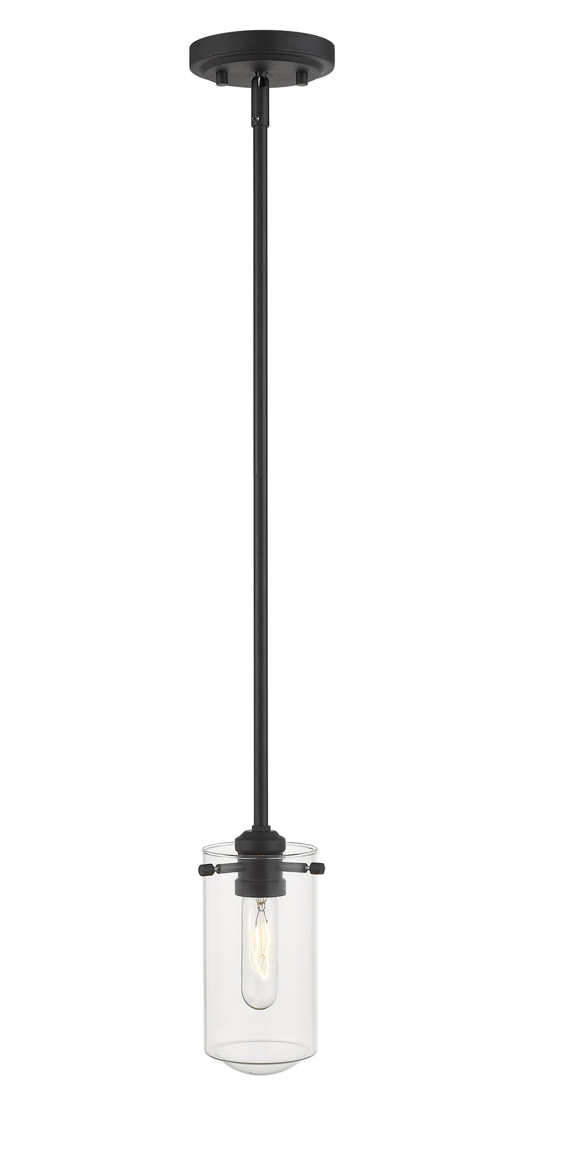 Delaney 1 Light 4" Pendant in Matte Black