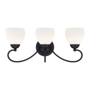 Brookside 3-Light Bath Vanity Light in Black