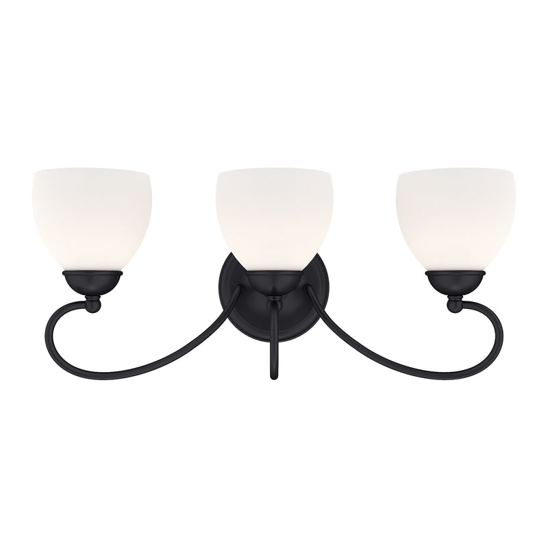Brookside 3-Light Bath Vanity Light in Black