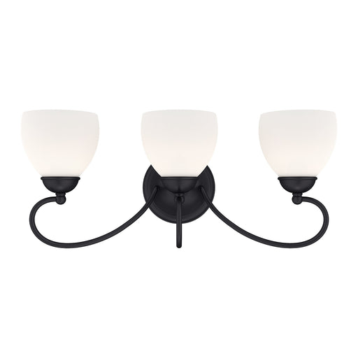 Brookside 3-Light Bath Vanity Light in Black