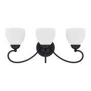 Brookside 3-Light Bath Vanity Light in Black