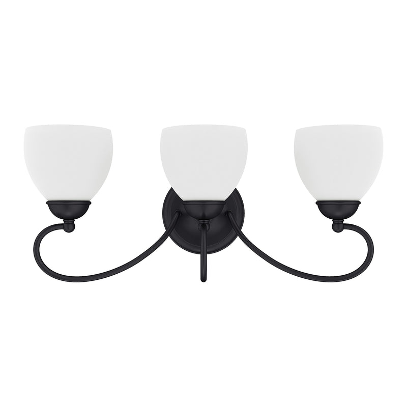 Brookside 3-Light Bath Vanity Light in Black