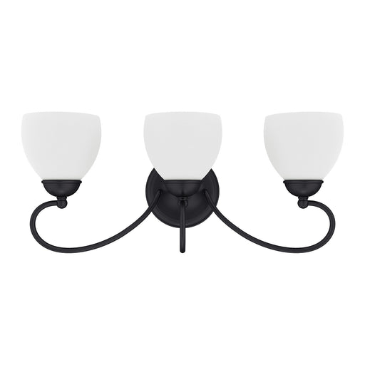 Brookside 3-Light Bath Vanity Light in Black