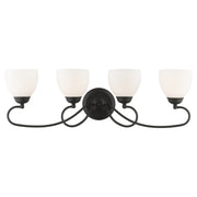Brookside 4-Light Bath Vanity Light in Black