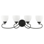 Brookside 4-Light Bath Vanity Light in Black