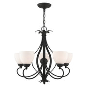 Brookside 5-Light 23.5" Tall Chandelier in Black