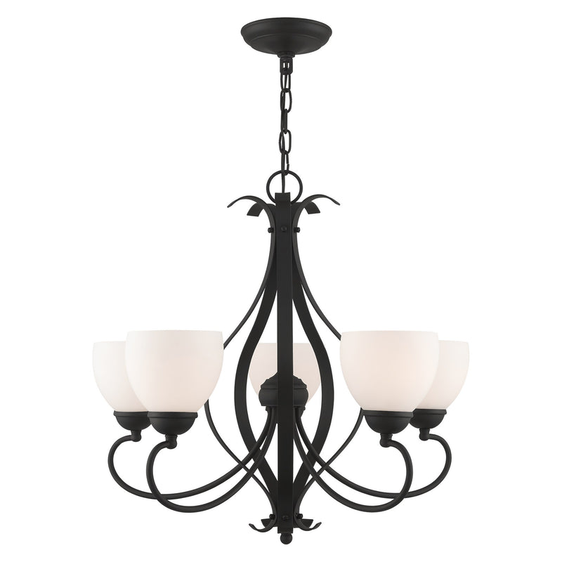 Brookside 5-Light 23.5" Tall Chandelier in Black