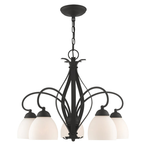 Brookside 5-Light 20" Tall Chandelier in Black