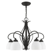 Brookside 5-Light 20" Tall Chandelier in Black