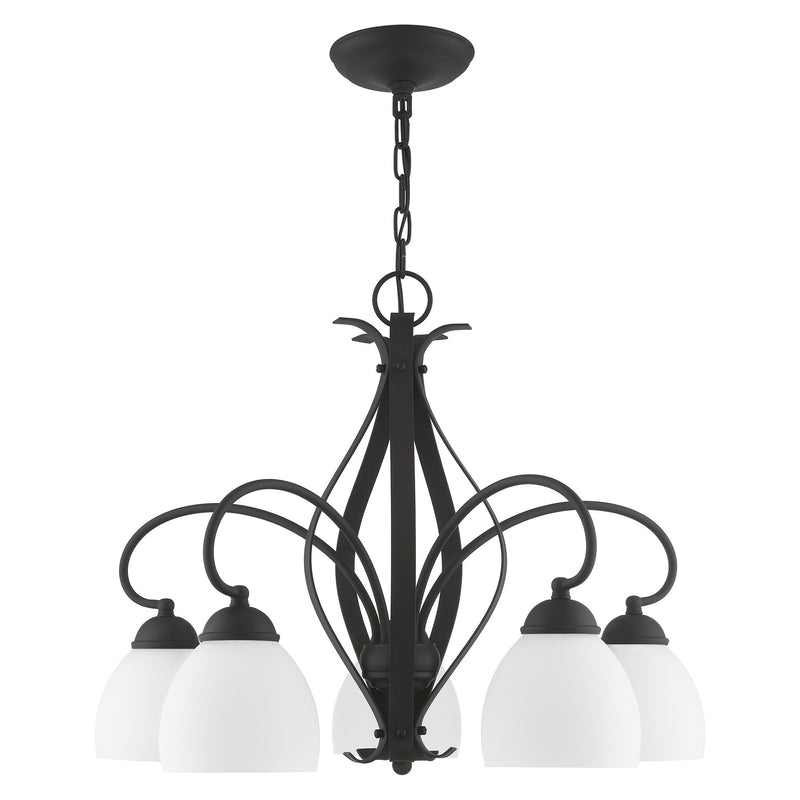 Brookside 5-Light 20" Tall Chandelier in Black