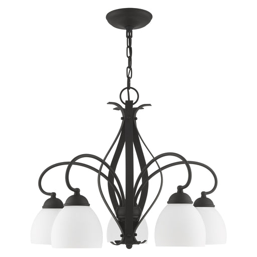 Brookside 5-Light 20" Tall Chandelier in Black