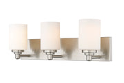Soledad 3 Light 23" Vanity in Brushed Nickel